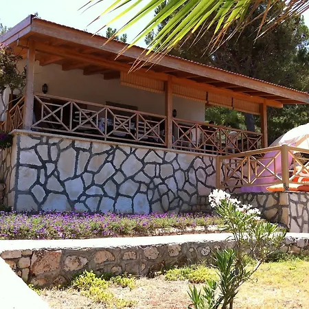 Aktan * Kaş